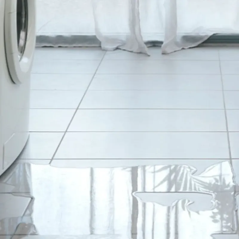 Appliance Leak Cleanup in Lexington, GA