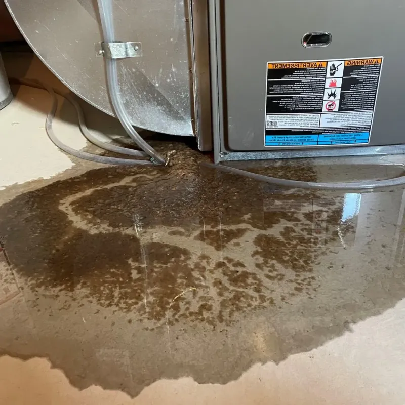 Pipe Burst and Leak Restoration in Lexington, GA